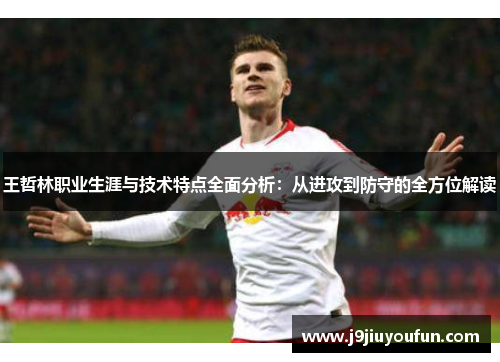 王哲林职业生涯与技术特点全面分析：从进攻到防守的全方位解读