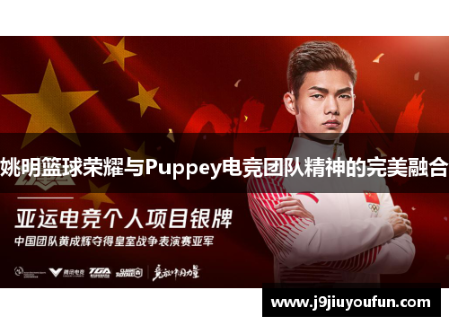 姚明篮球荣耀与Puppey电竞团队精神的完美融合